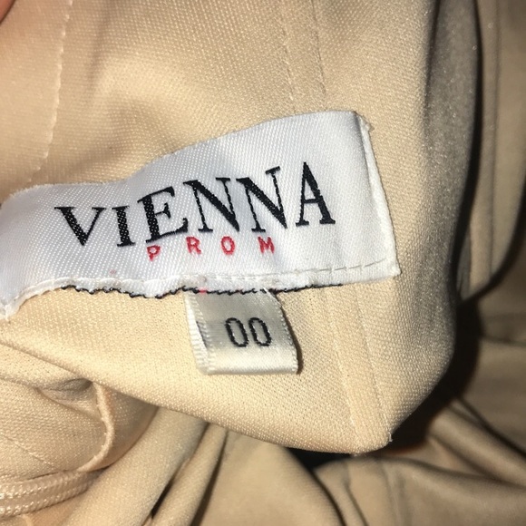 Pretty tan and black homecoming dress - Picture 4 of 4